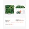 3D Textured Green Hedge Wall Panel Interlocking Privacy Fence Decor